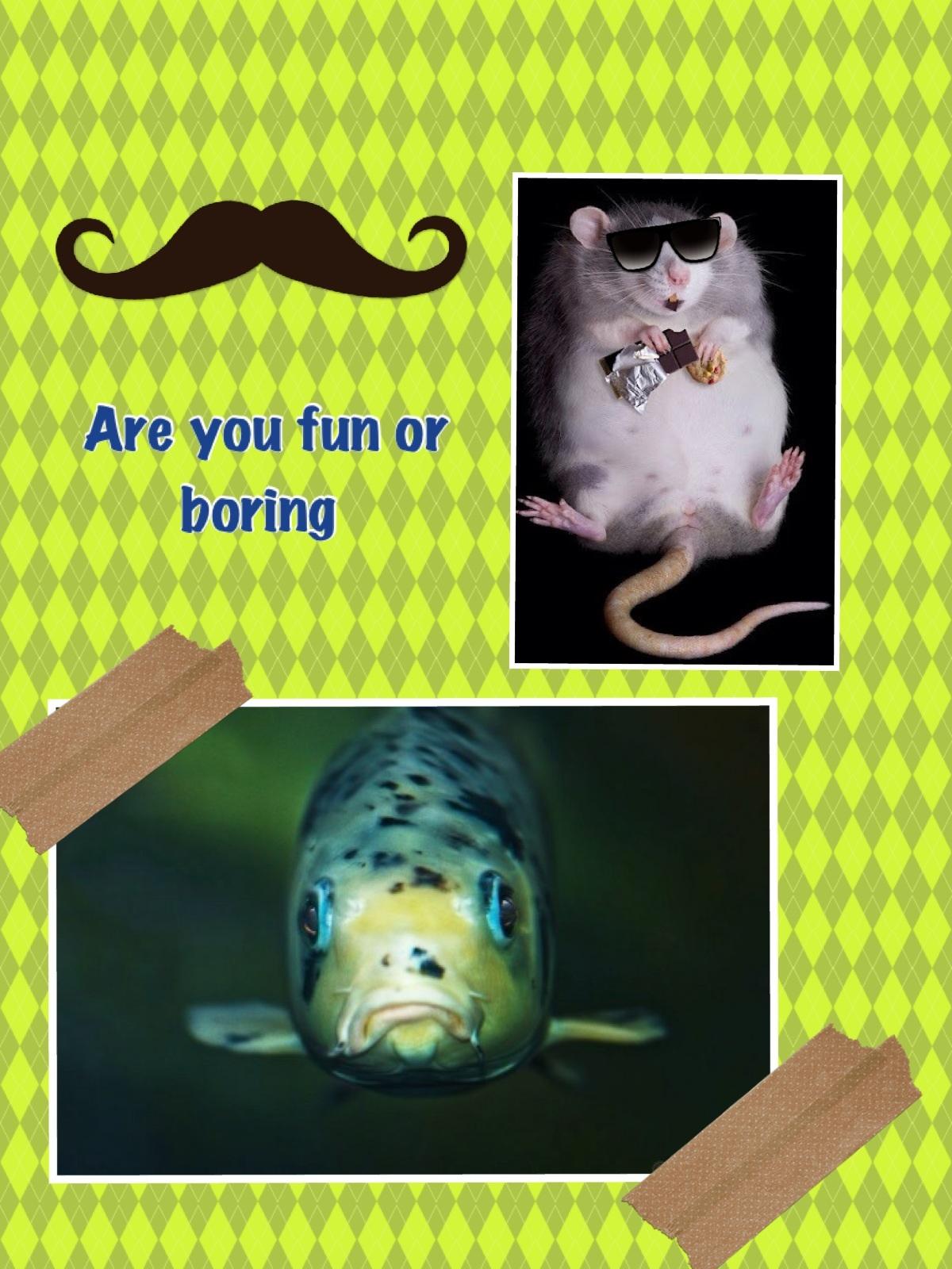 Are you fun or boring?