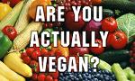 Are you actually vegan?