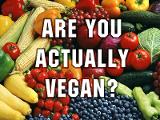 Are you actually vegan?