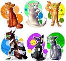 What is Your Warrior Cats Name and Rank? (She-Cats!)