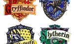 What Hogwarts house are you in? (2)