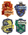 What Hogwarts house are you in? (2)