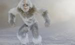 Which Yeti Are You?