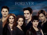 Which Twilight Character Are You? (5)