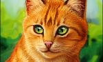 How much do you about how Firestar lost each of his 9 lives?