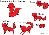 What warrior cat phase are you in? <three questions>