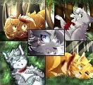 how welcomed would you be in the dark forest or starclan?