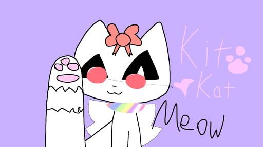 Animal jam quiz!