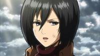 Do you know Mikasa Ackerman very well?