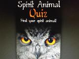 Spirit Animal Quiz (1)