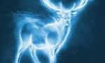 What is your Patronus? (2)