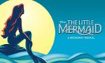 Who are You From The Little Mermaid?