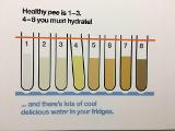 How Well Do You Hydrate?