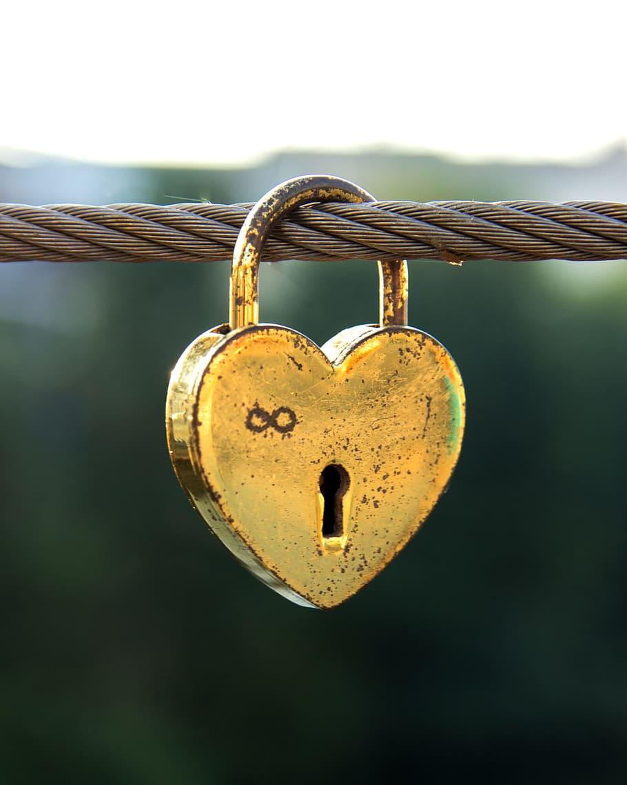 The Unconditional Love Test The Unconditional Love Test
