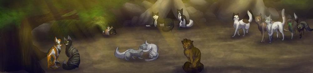 What Warrior cat OC of mine are you?