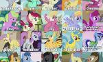 Which back round pony are you?