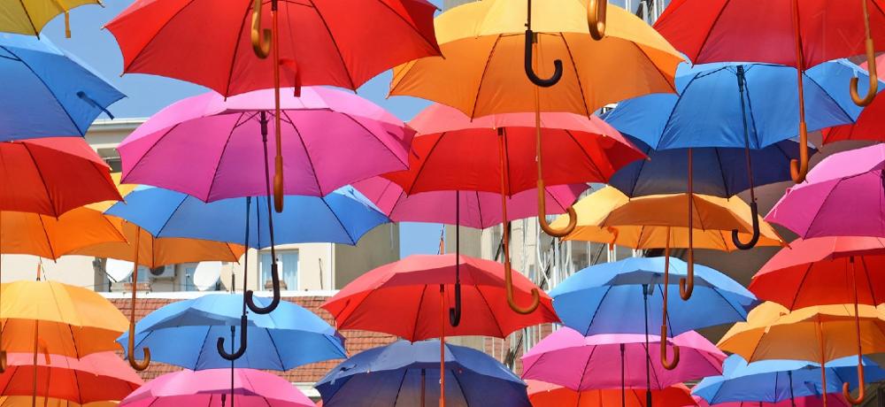 which umbrella are you?