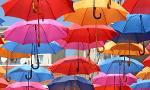 which umbrella are you?