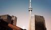 Towering Heights: World's Tallest Buildings Quiz