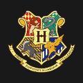 What Hogwarts House Are You? (3)