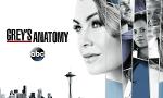 Which Grey's Anatomy character are you?