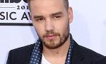 How well do you know Liam Payne? (2)