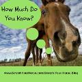 How much do you know about horses? (3)