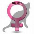 Which she cat are you?