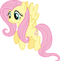 What does Fluttershy think of you?