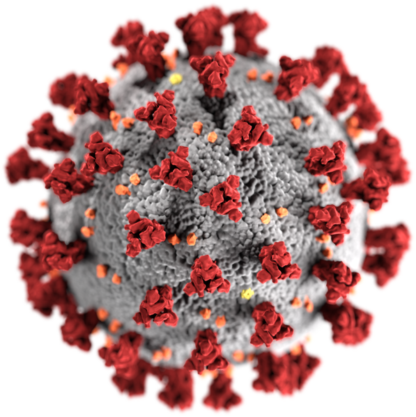 Corona Viruses COVID-19 Check