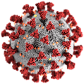 Corona Viruses COVID-19 Check