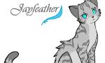 How well do you know Jayfeather?