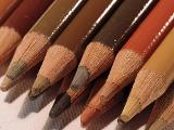 Which Shade of Brown Are You?