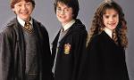 How well do you know Harry Potter? (6)