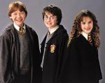 How well do you know Harry Potter? (6)