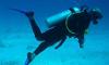 Dive Deep: World Record Underwater Moments