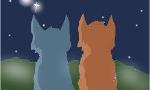 Which Warrior cat couple describes your relationship?