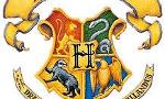 what would be your hogwarts house?