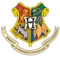 What Hogwarts House Are You? (2)