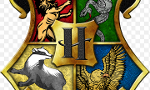 What Hogwarts House do you belong in? (2)