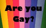 Are You Gay? (Extremely short)