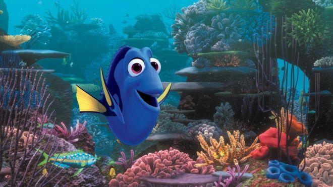 Can you find Dory?