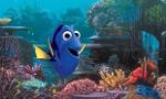 Can you find Dory?