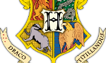 What Hogwarts house are you in? (3)