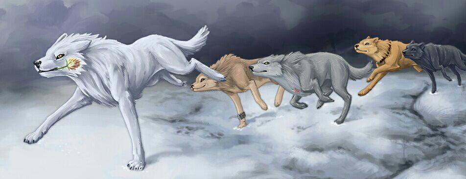 What Anime Wolf Are You? - Personality Quiz