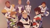 Which Voltron palidin are you?
