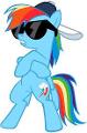 how well do you know rainbow dash (me)?