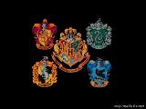 What Hogwarts House Are You In? (6)
