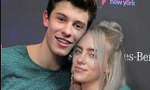 do you love love shawn mendes or billie eilish more?