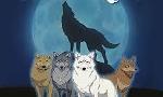 Which wolf in Wolf's Rain are you like the most?